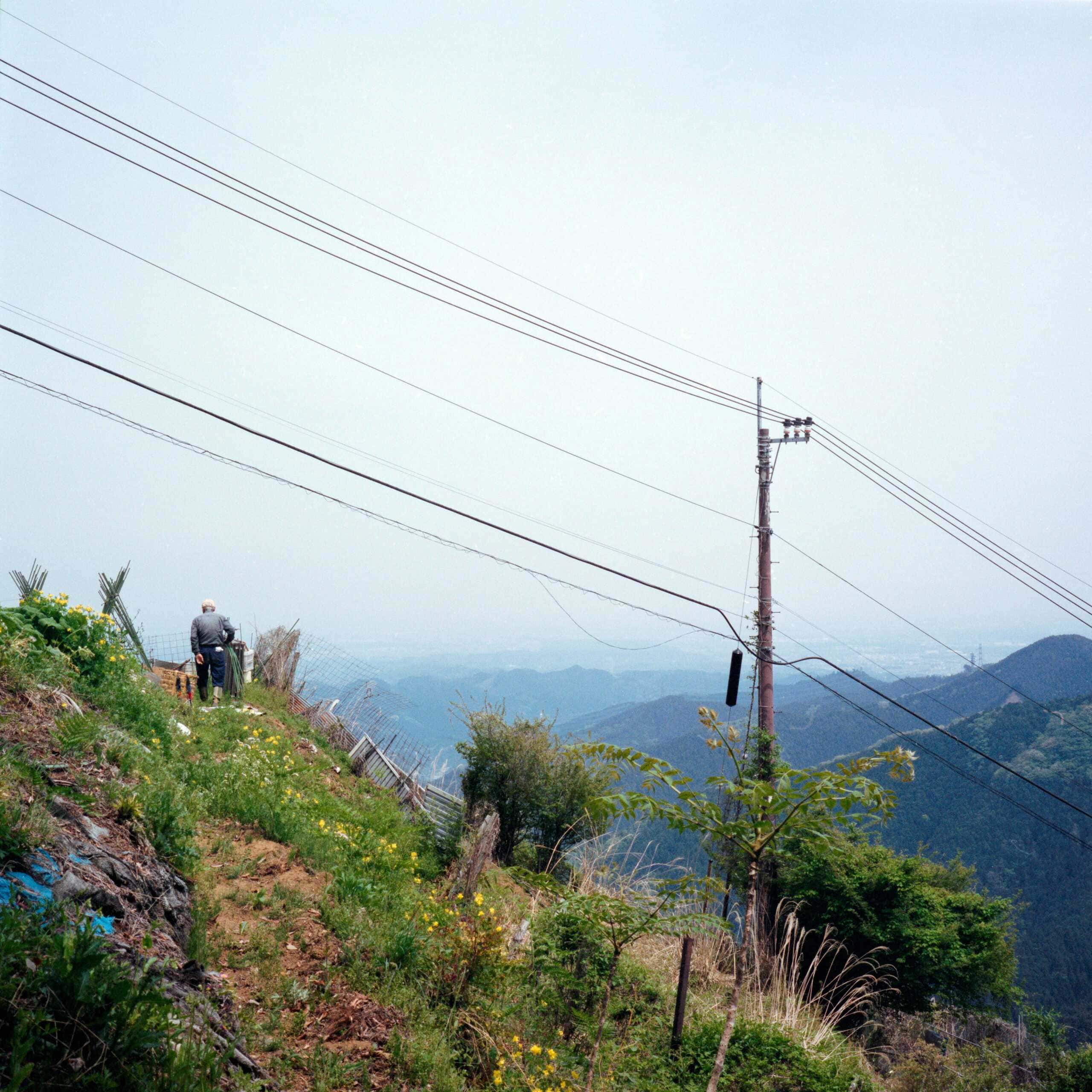 Image 12