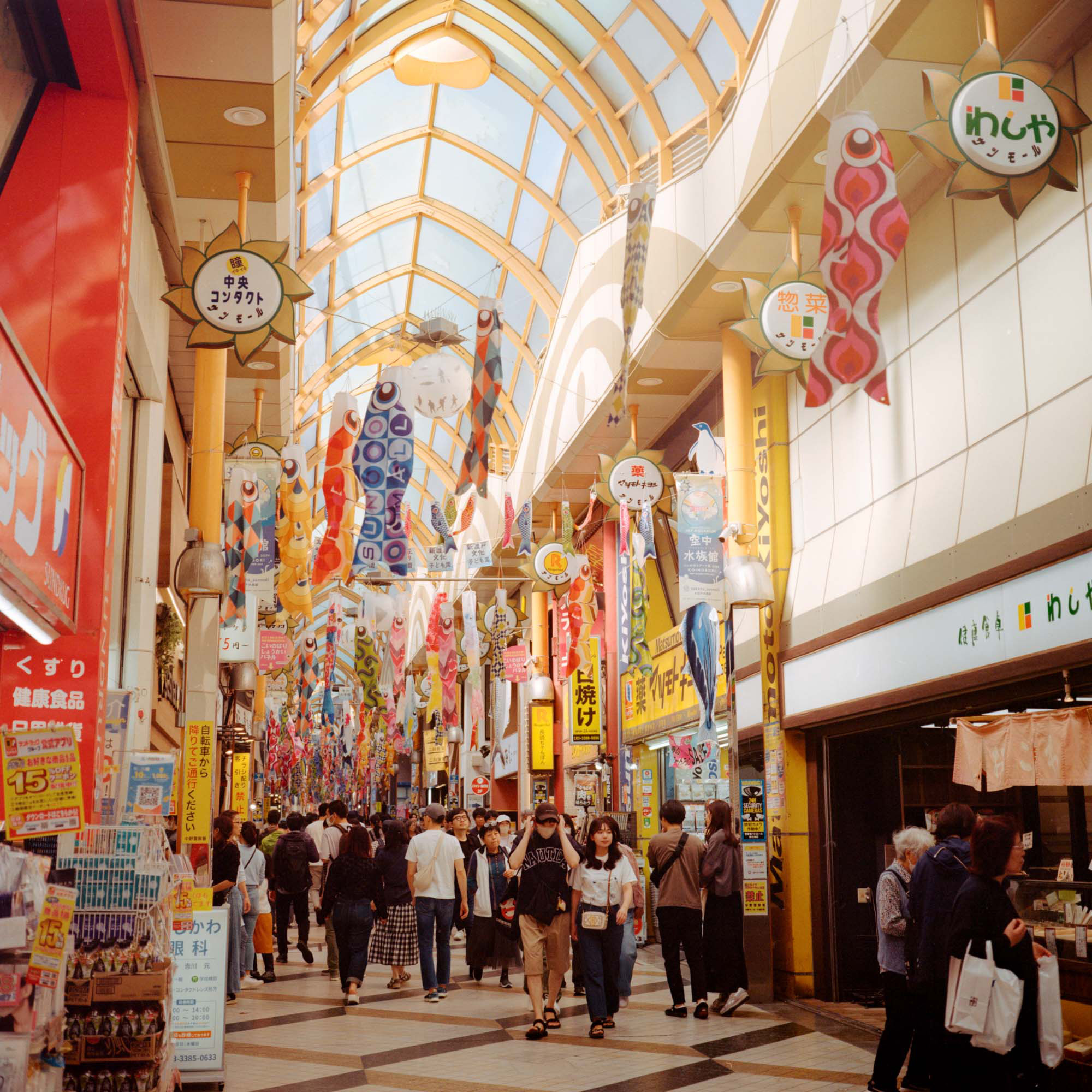Japan 3