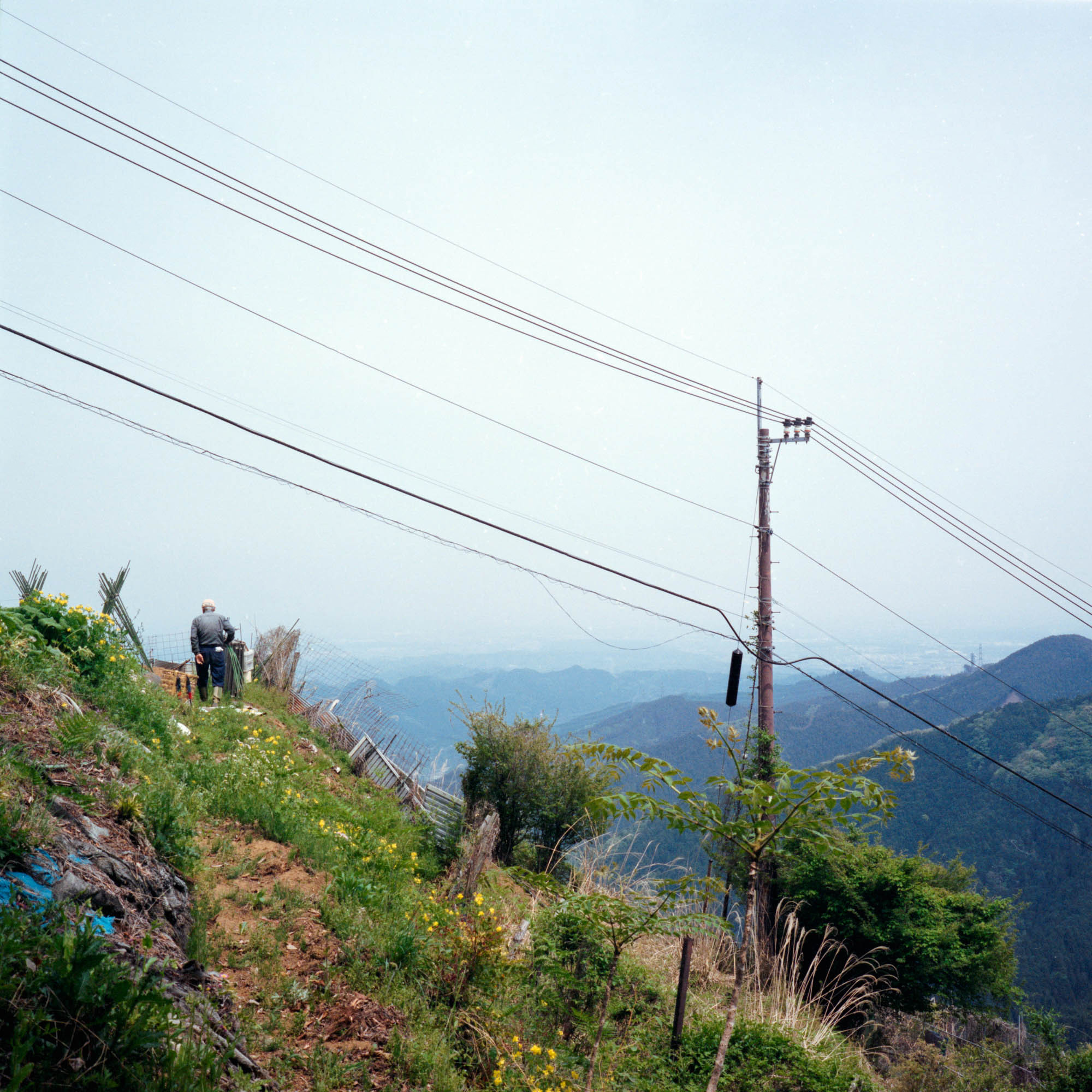 Japan 8
