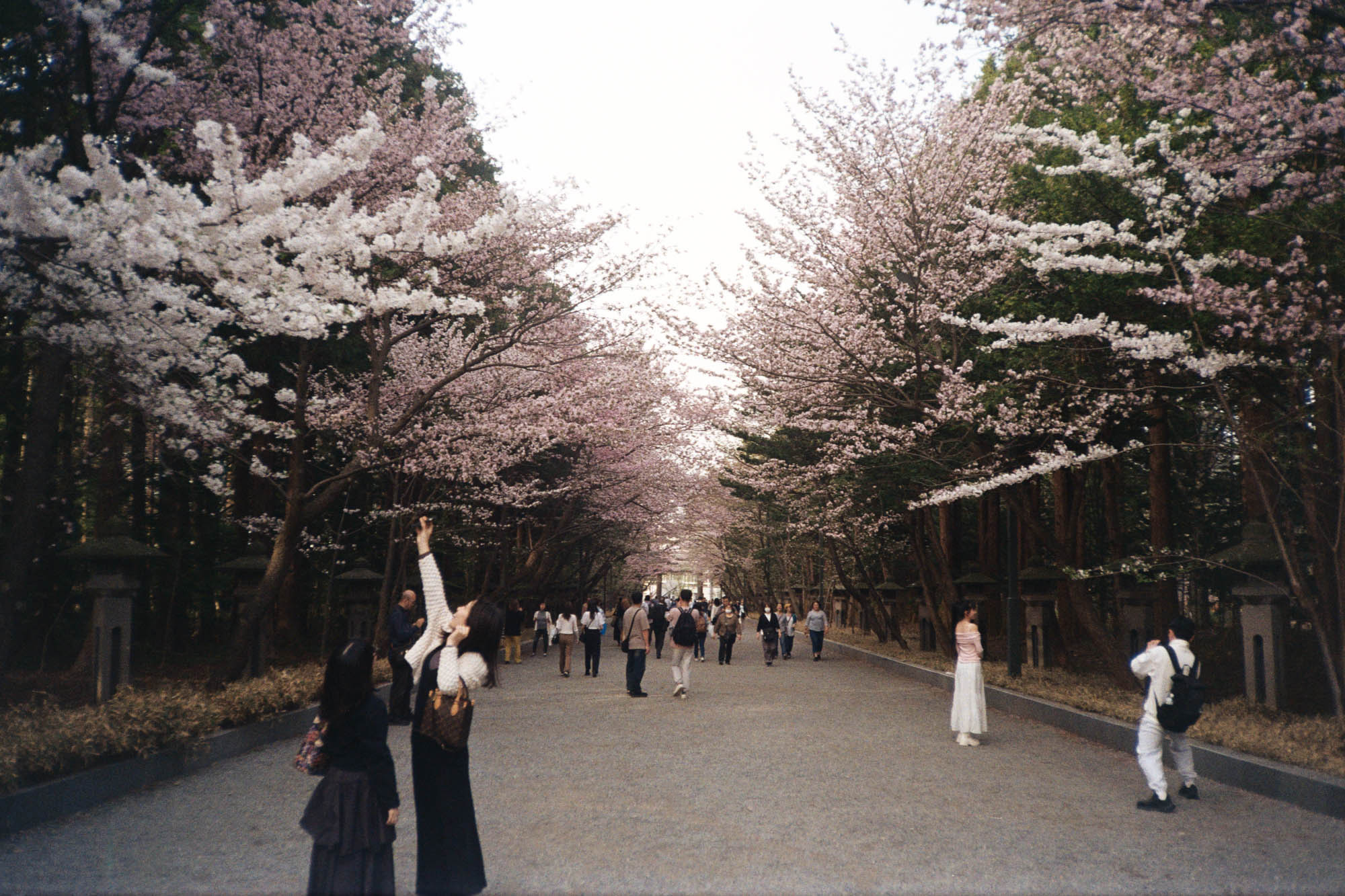 Japan 9